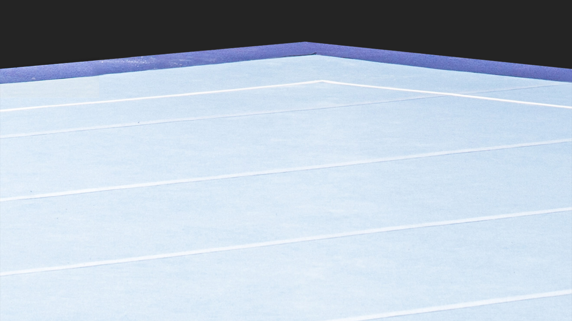 Women's Artistic Gymnastics - High Performance Profiles